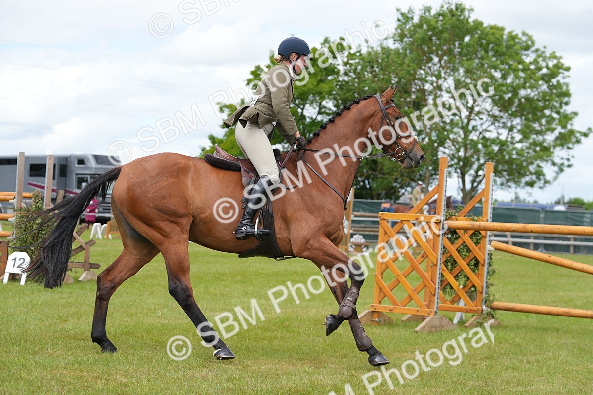 SBM_14917 - Class 100-102 - RIHS Working Hunter