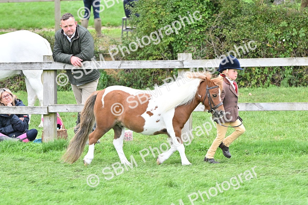 SBM_66776 - S41 - Junior Handler 8 Years & Under