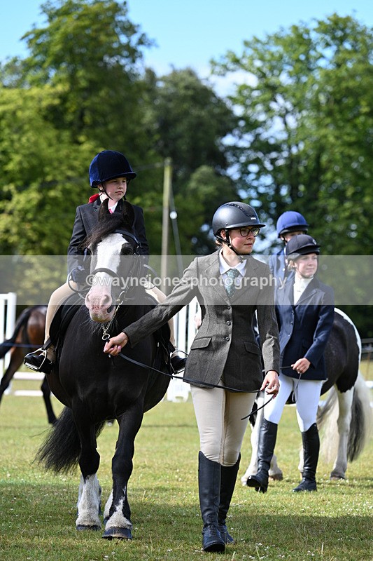 WJ7_4278 - Class 1 Lead Rein Pony