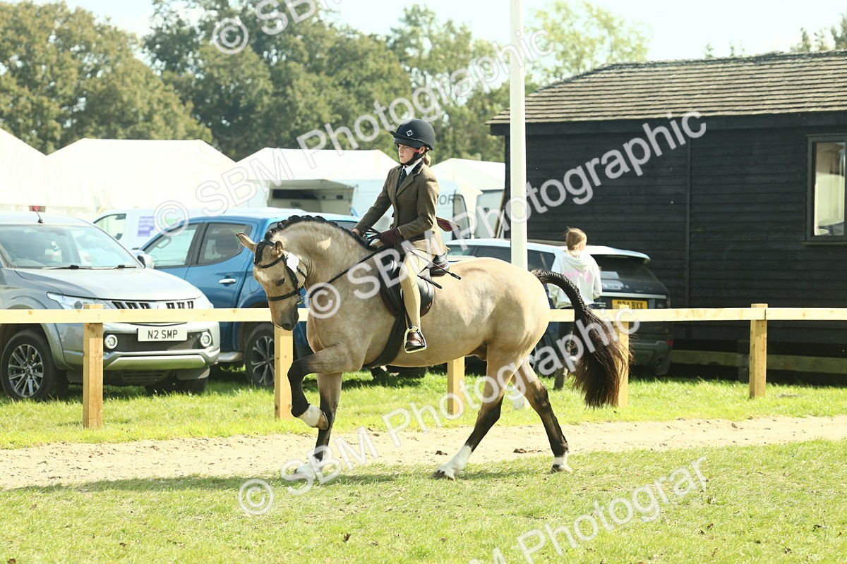 SBM_67623 - S56 - Coloured Pony Ridden