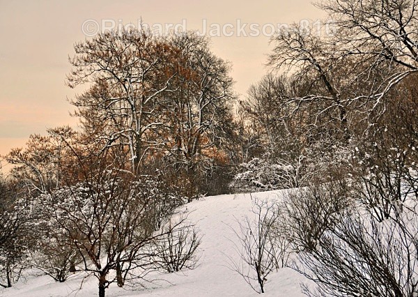 Snow & Alpenglow - Out-and-About