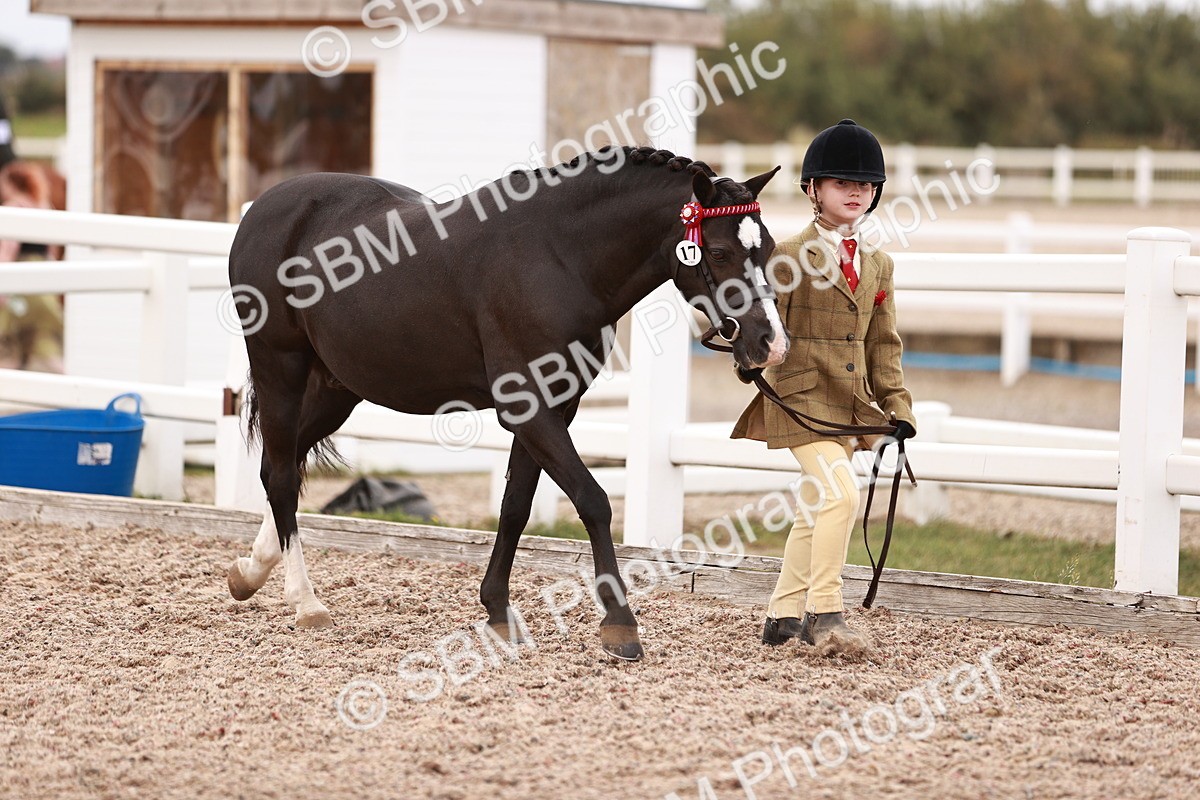 SBM_18541 - Class 421 - Childs Best Friend - Jnr