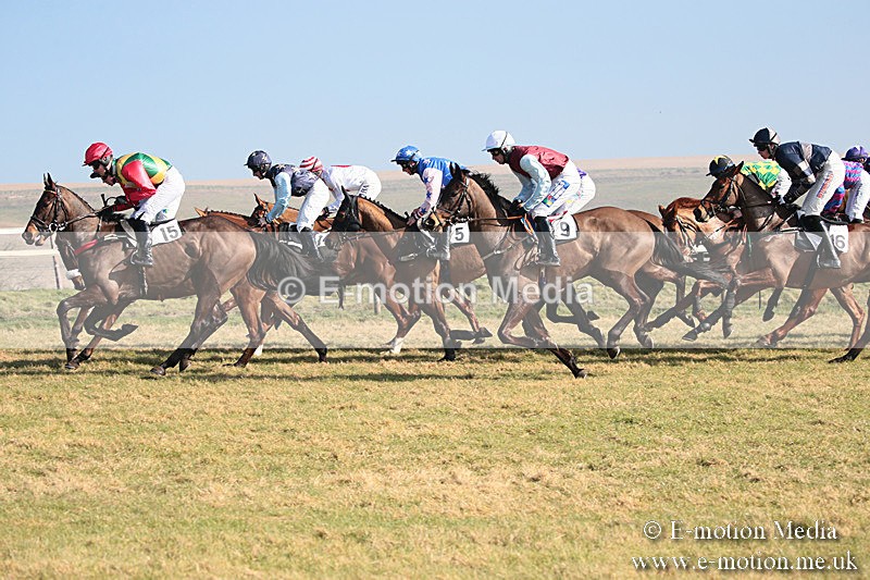 PtP 230219 64 - Vine & Craven Point-To-Point - Barbury 23/02/19