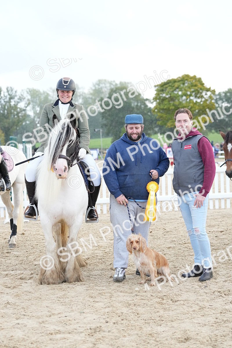 SBM_29216 - J43 - Horse & Hound Open 50cm