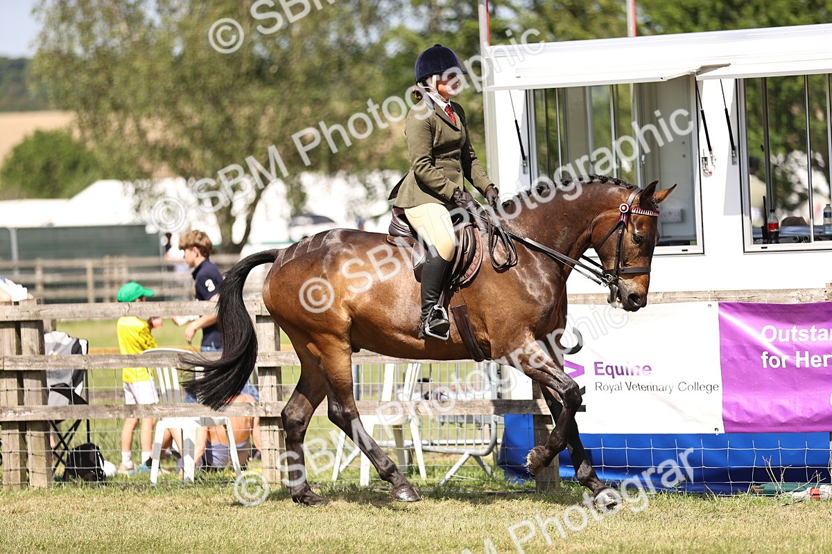 SBM_17989 - Class 81-83 - TSR Ridden Amateur of the Year - Horses