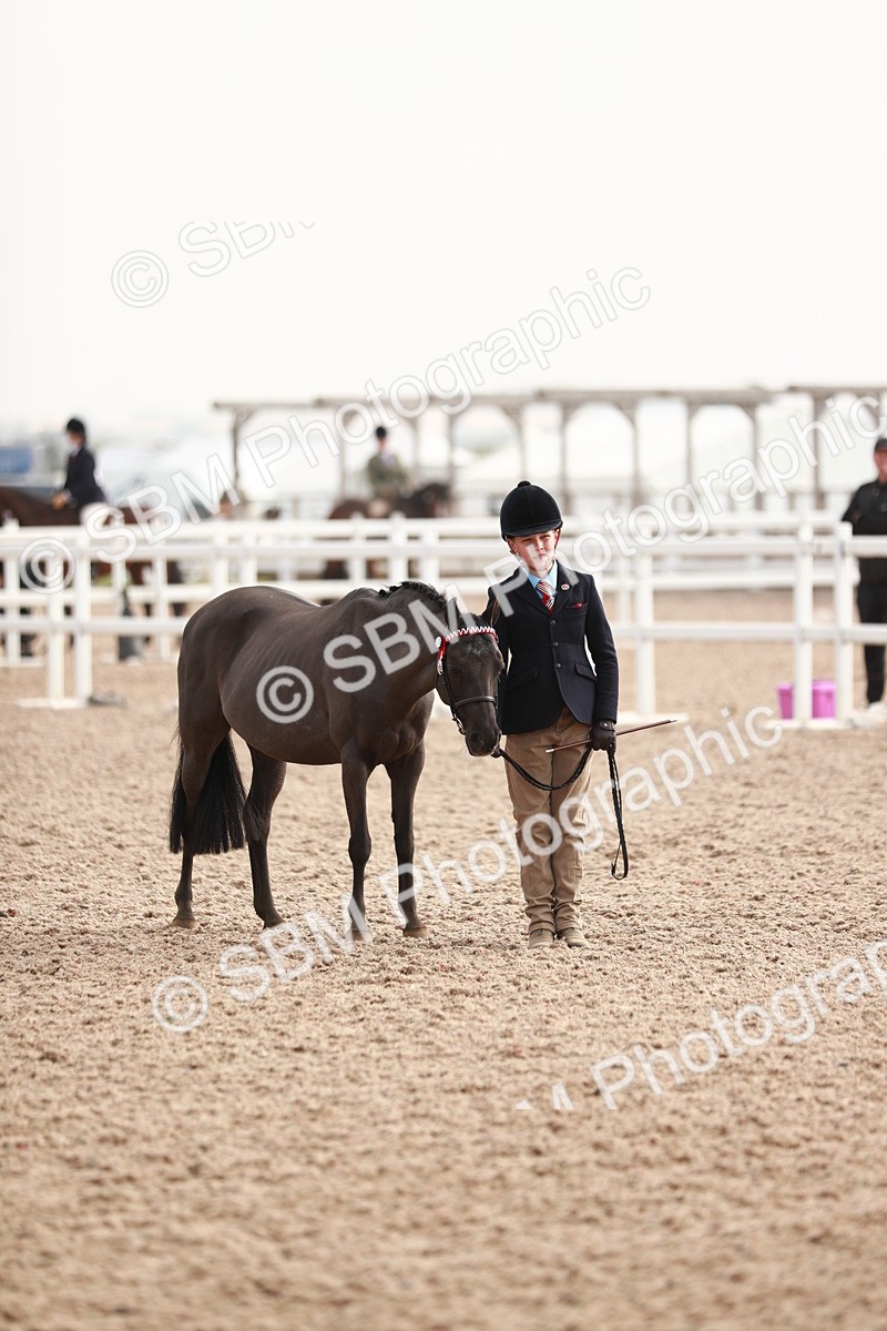 SBM_10554 - Class 204 Young Handler, 11-16 years