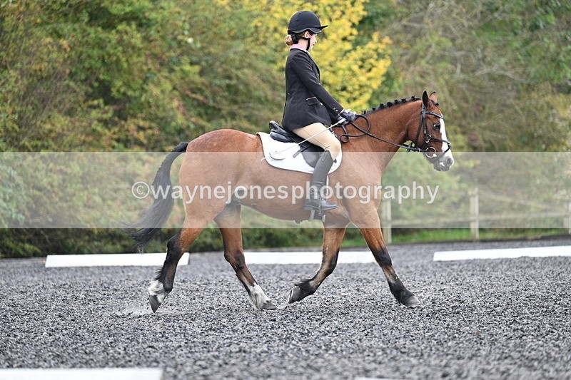 WJ7_3944 - Time 11:04 to 11:38