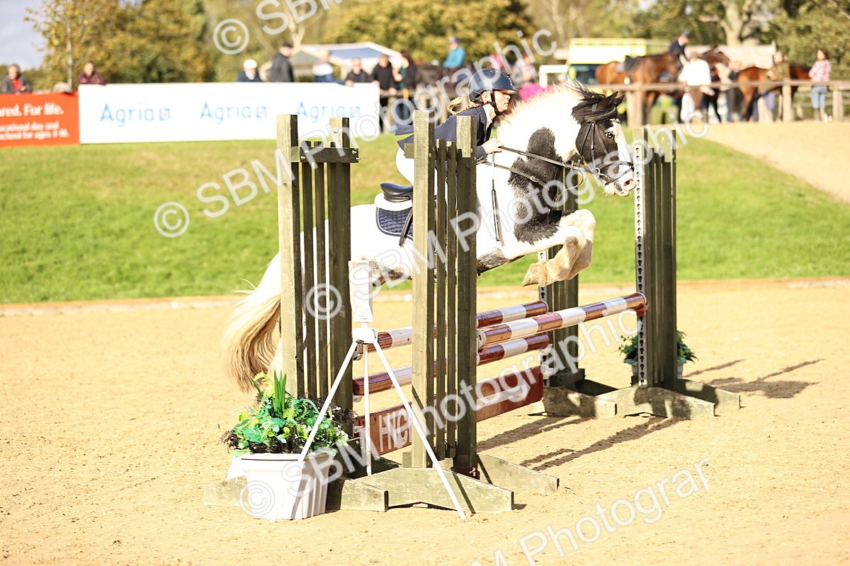 SBM_51680 - J10 - Junior Pony 75cm Championship