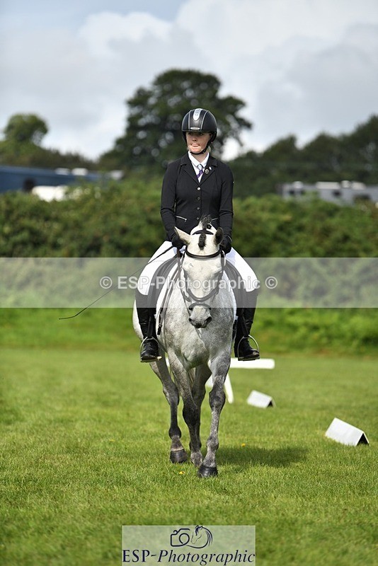 230826-105126-15623 - Sections C & D 10 to End