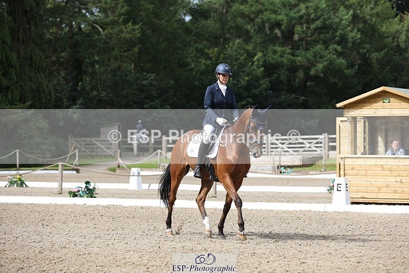 230812-104235-03320 - Cls 5 Novice Bronze Start to 10.55 break