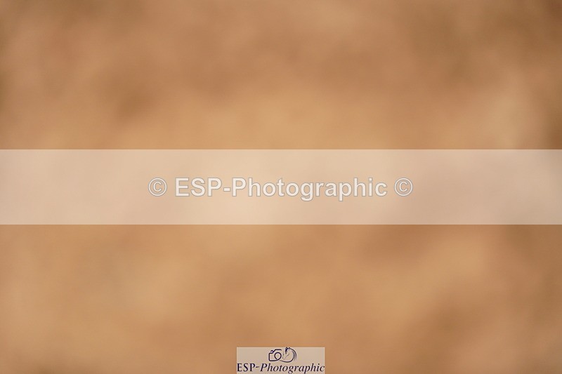 240524A-135612-04141 - Cls 17 National 1.30m