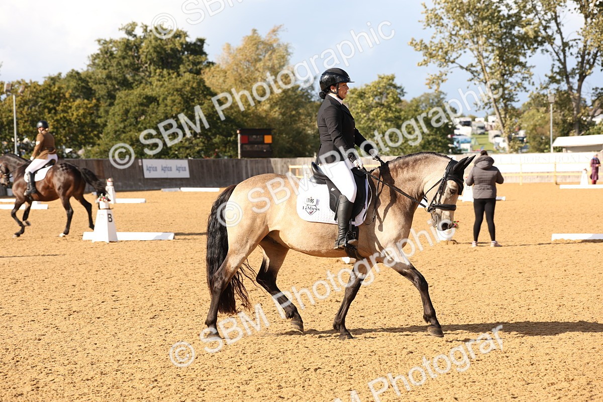 SBM_27031 - D17 - Grand Tour Championship Novice 3