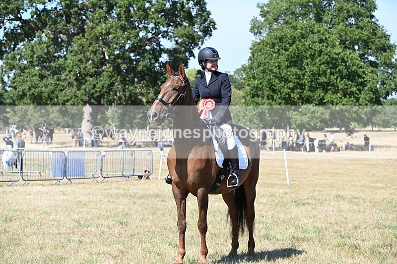 WJ6_9095 - Class 38 Ridden Riding Horse/Pony