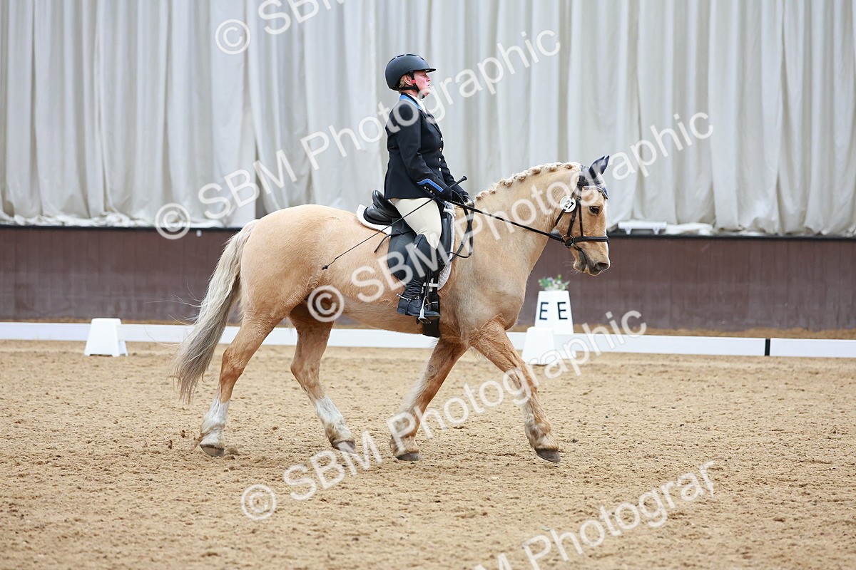 SBM_001069 - Class 5 - Novice 1
