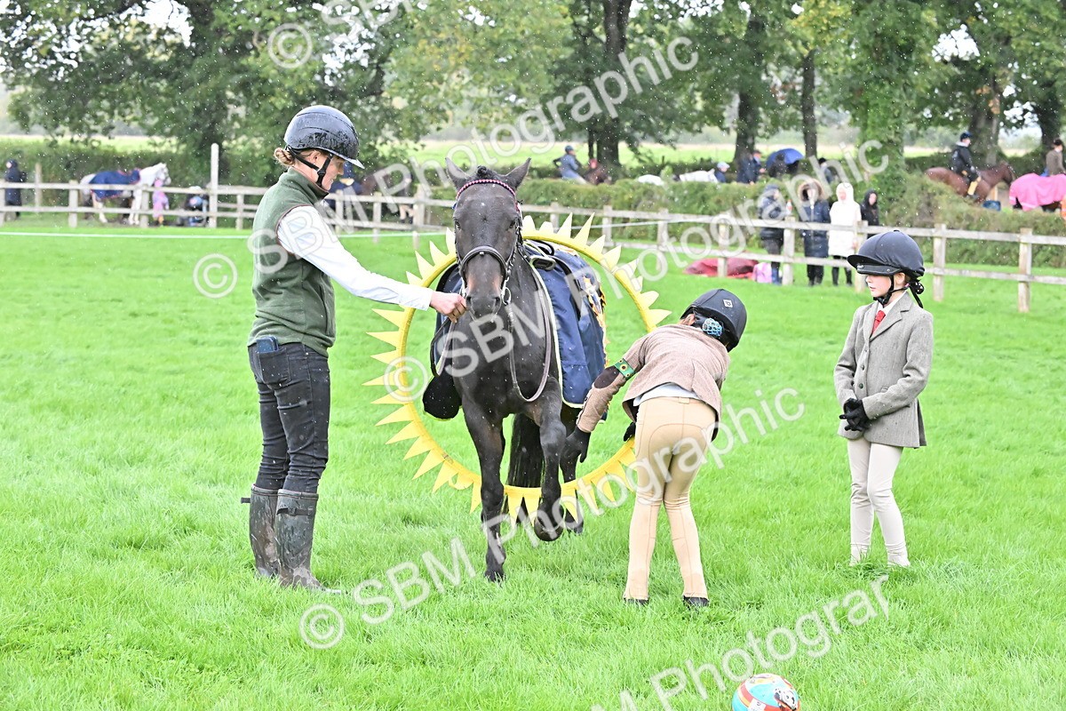 SBM_42999 - S12 - Family Horse & Pony
