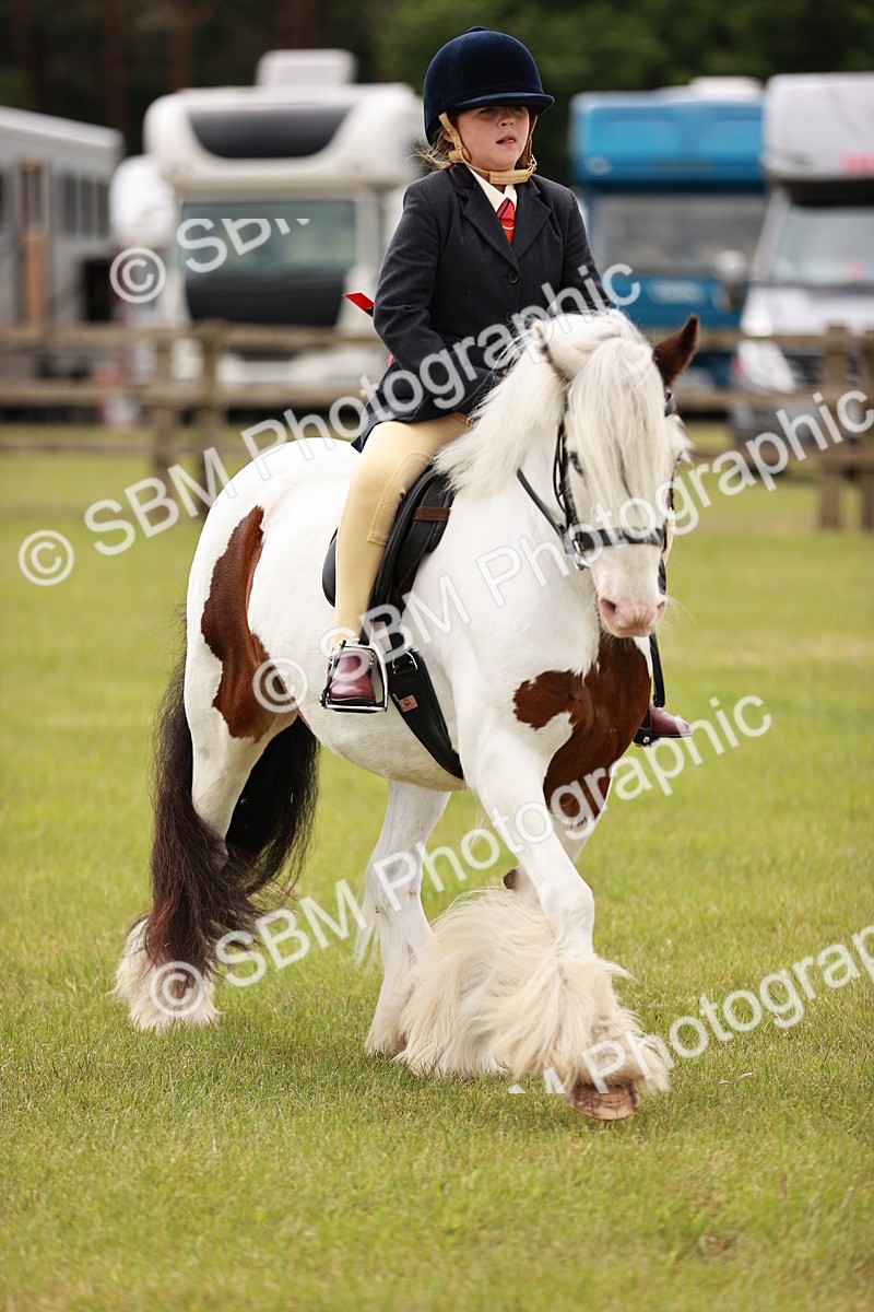 SBM_06138 - Class 39-41 TGCA In Hand and Ridden