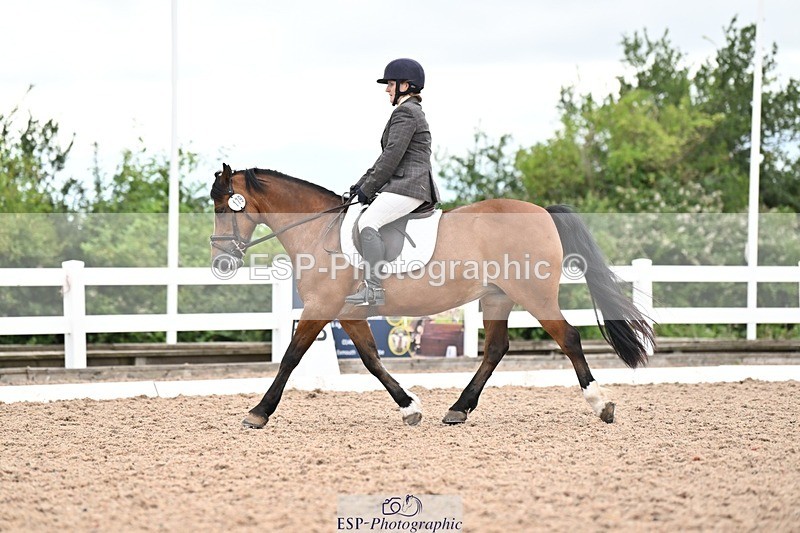 250705-175538-04495 - N2 Section BDNOV2 16.29 to 17.46