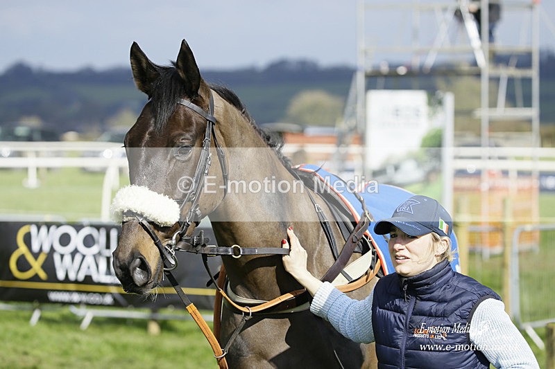 PtP 060322 132 - Blackmore & Sparkford Vale Hunt PtP 06/03/22