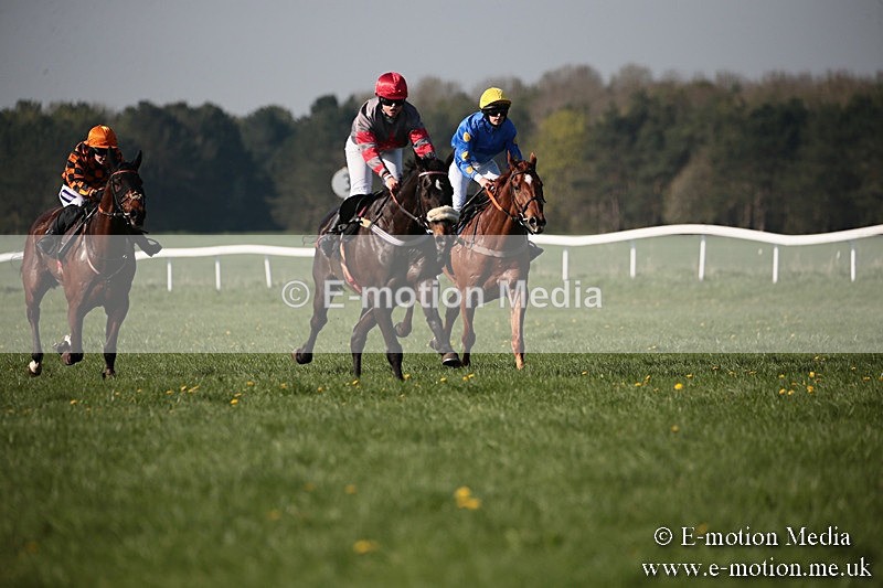 PtP 210418 522 - South & West Wilts Point-to-Point Larkhill 21/04/18