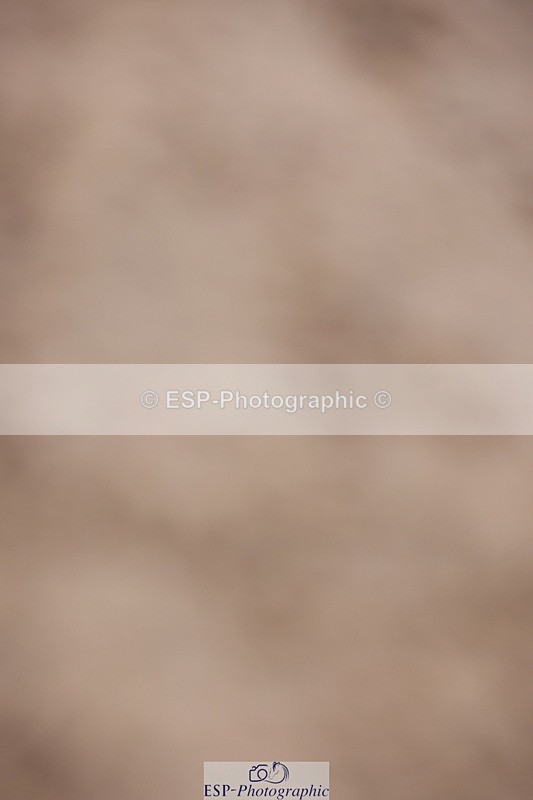 231112A-151305-05199 - Cls 21 Foxhunter & 1.20m Open