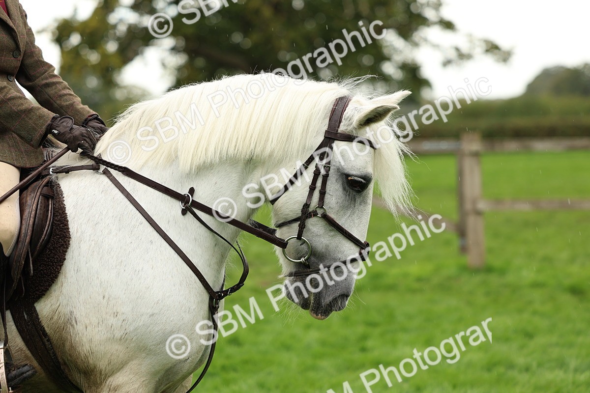 1I0A1463 - S32 - Mountain & Moorland Working Hunter Pony
