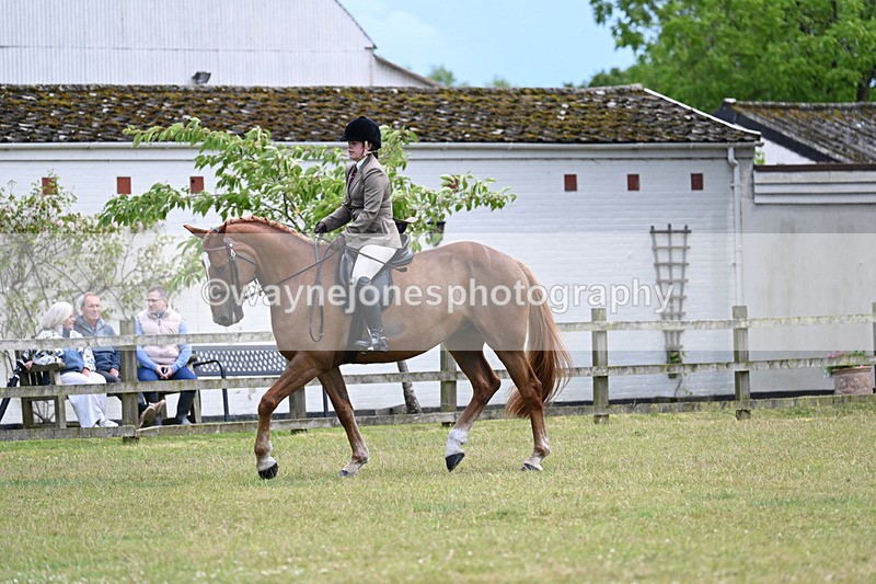 WJ7_9349 - Class 8 Ridden Veterans