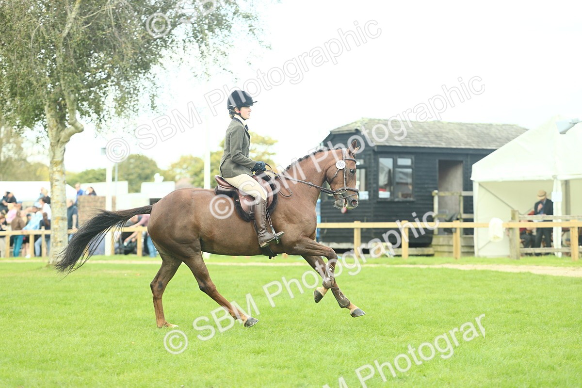 SBM_47956 - S32 - Novice & Newcomers Working Hunter