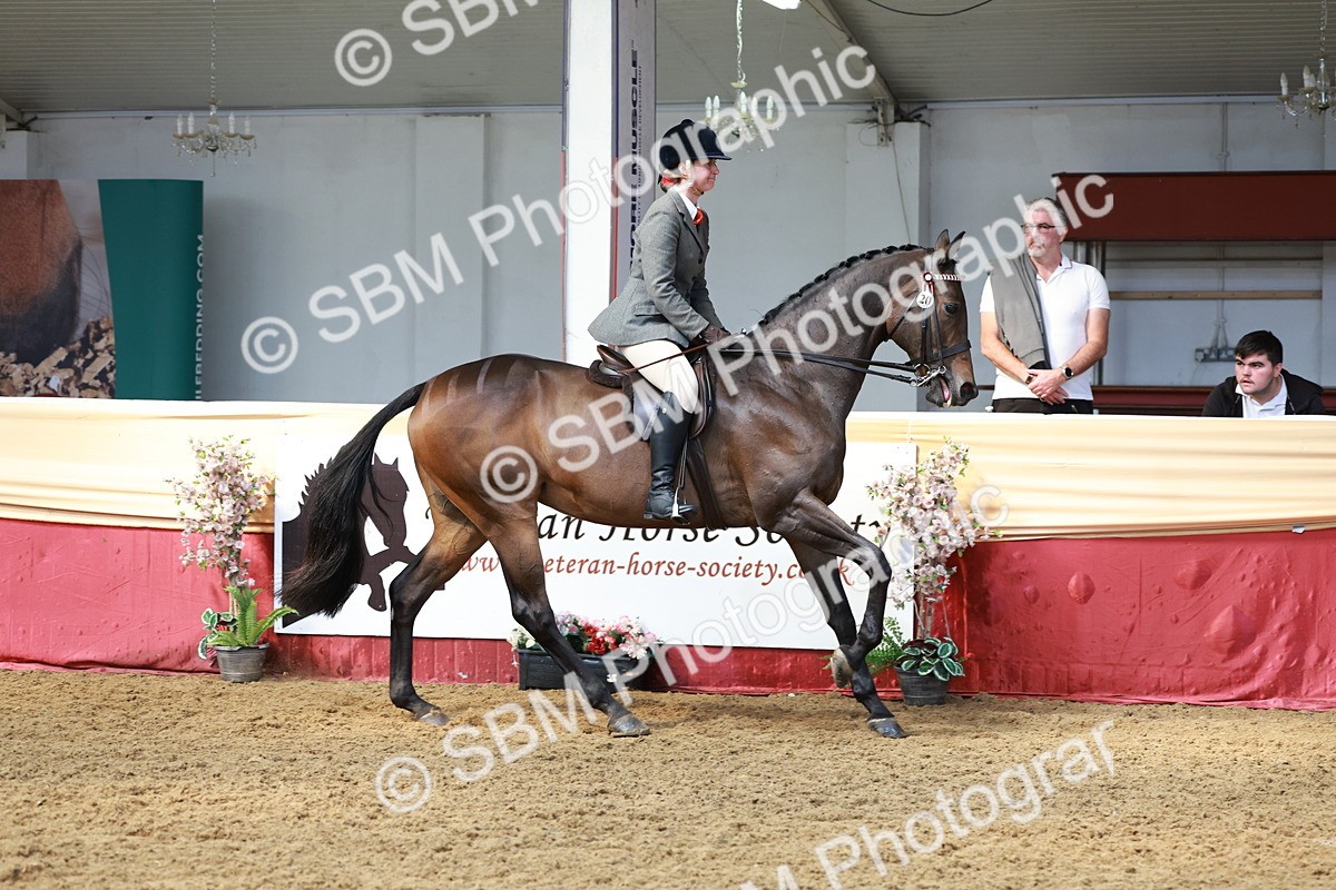 SBM_14896 - Class 108 - Ridden Retired Racehorse
