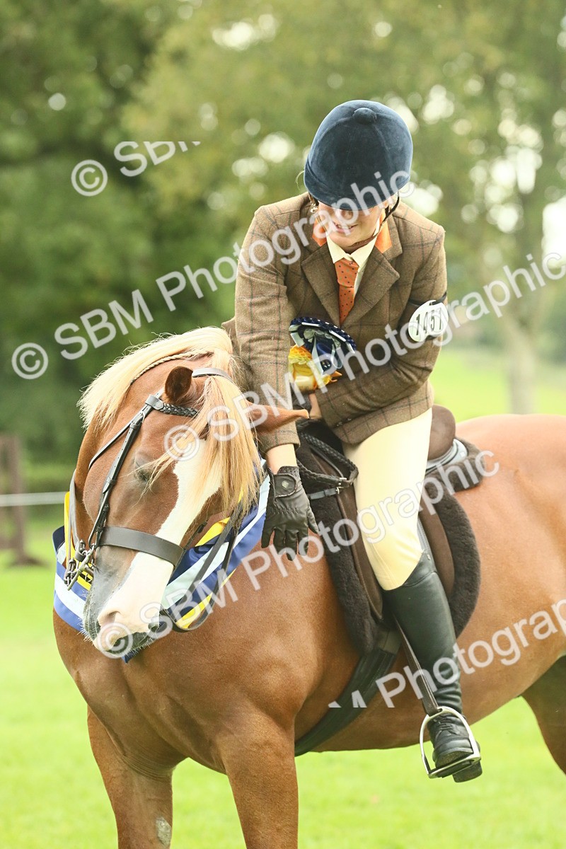 SBM_75212 - Super Supreme Championship