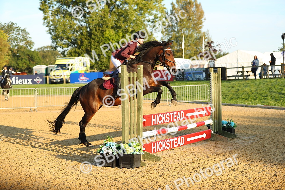 SBM_57617 - J64 - Clear Round 90cm