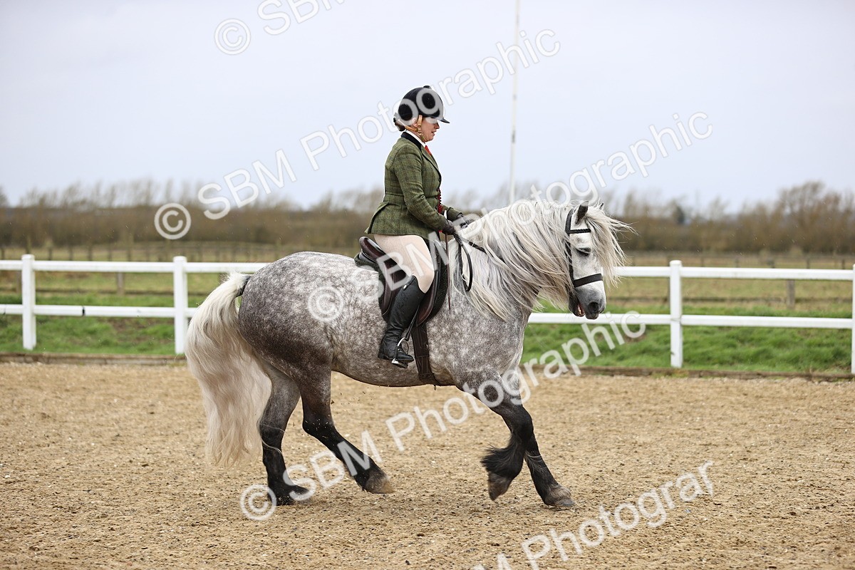 SBM_007624 - Class 31-32 - M&M Confined Novice Small-Large