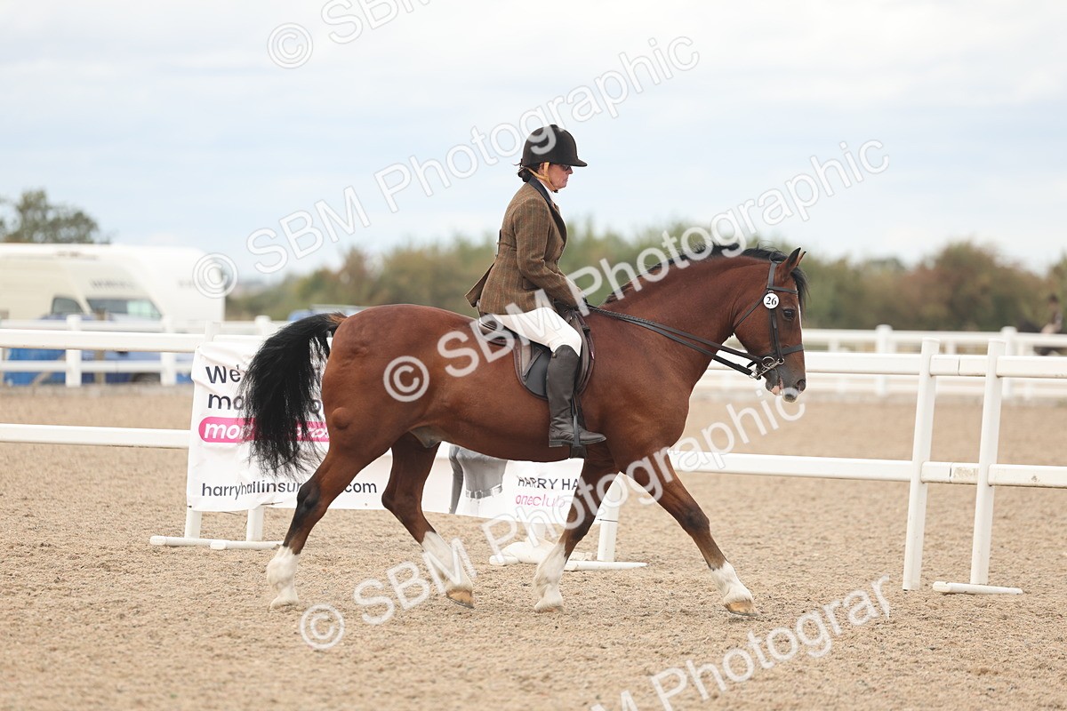SBM_18152 - Class 315 - Best Horse-Rider Combination