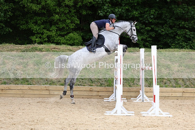 3E7A7595 - Class 8: Senior Foxhunter/1.20 open