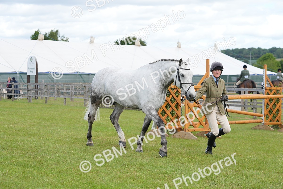 SBM_14900 - Class 100-102 - RIHS Working Hunter