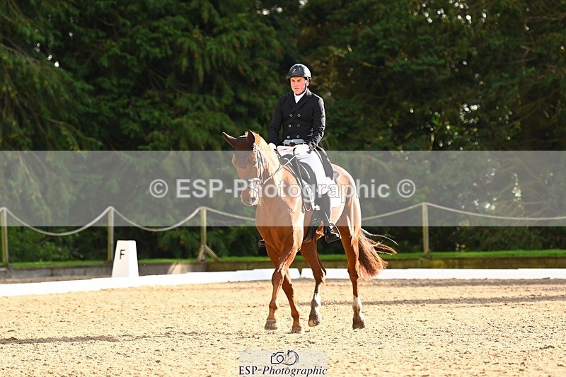 231021-151227-20777 - 256-GOODFELLA.GIO-Finley.Atherton-DR