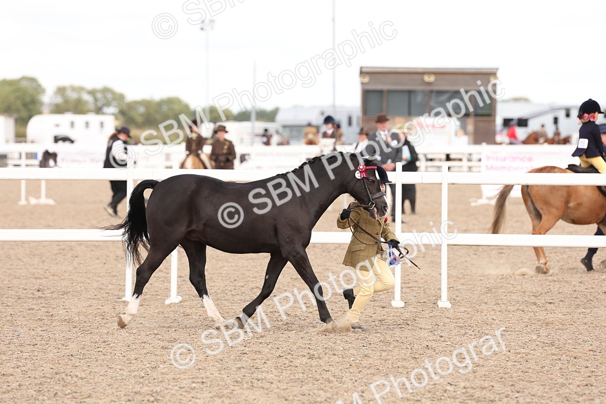 SBM_15152 - Class 209 - IH Veteran Pony