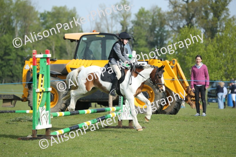 20260426-0194 - Class 13 - Rookie Jumping 50cm