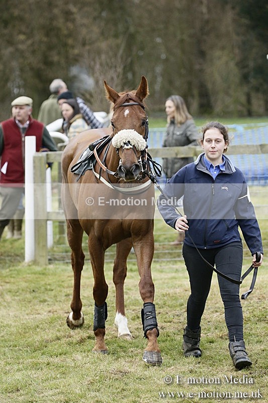 PtP 110318 182 - Hampshire Hunt Point-to-Point Hackwood Park 11/03/18