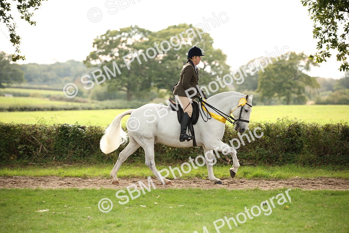 SBM_73634 - Ridden Horse Supreme Championship