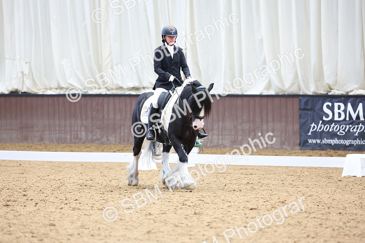 SBM_016004 - Class 15 - Novice FSM - 9.50 - 11.10