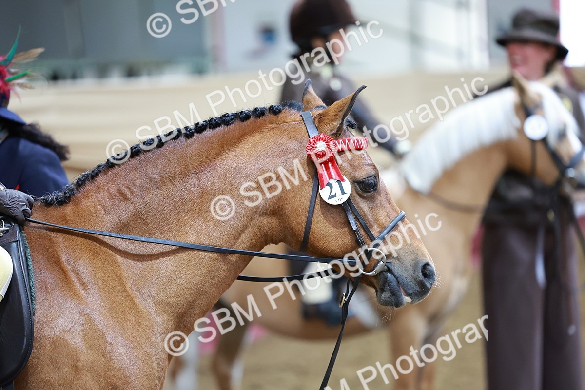 SBM_10673 - Class 101 - Equitation (Best Rider)
