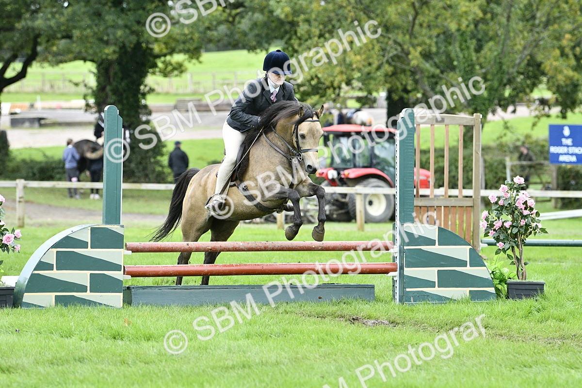 SBM_41359 - S32 - Mountain & Moorland Working Hunter Pony