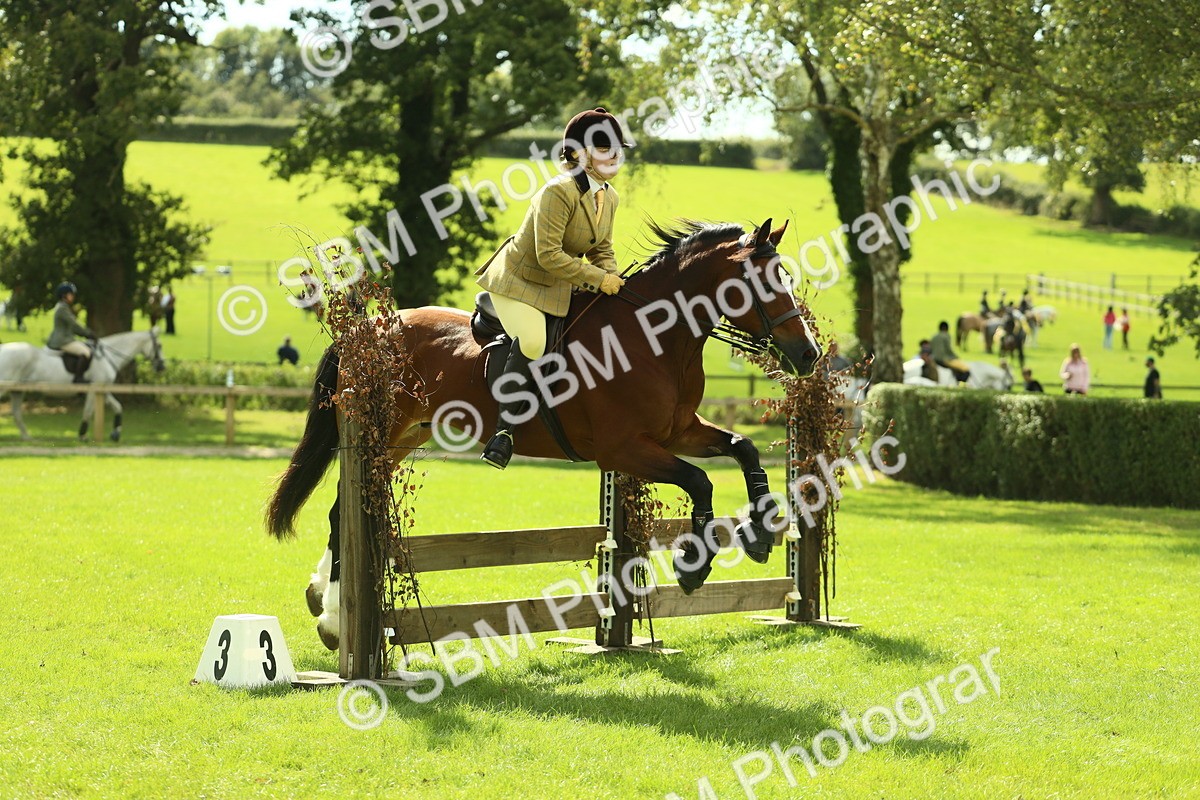 SBM_42964 - S30 - M&M Working hunter Pony