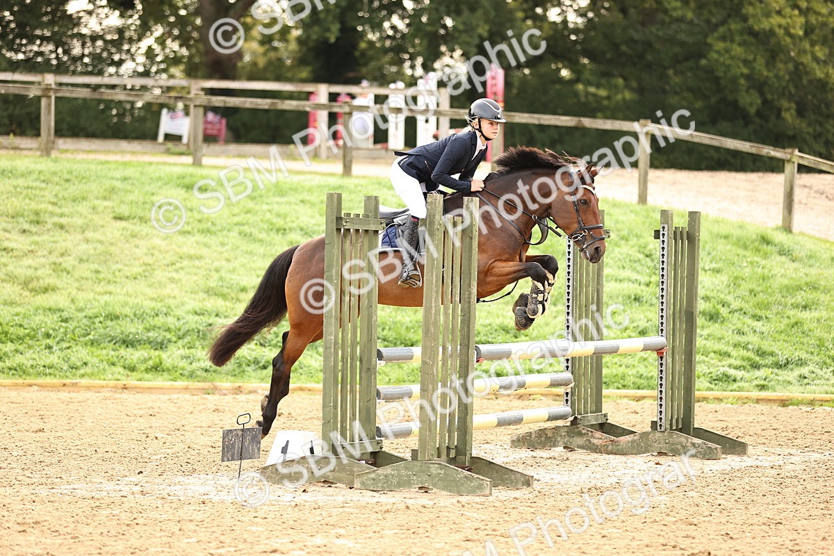 SBM_58416 - J41 - Grand Tour Horse & Pony 95cm