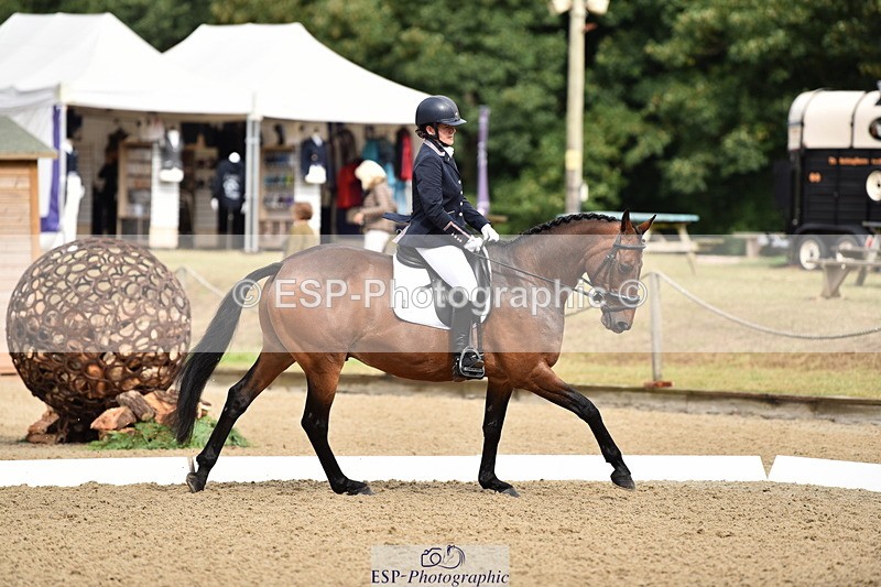 140109A-225224-08322 - 003-Lena.Lee-Ardlea.Chuck