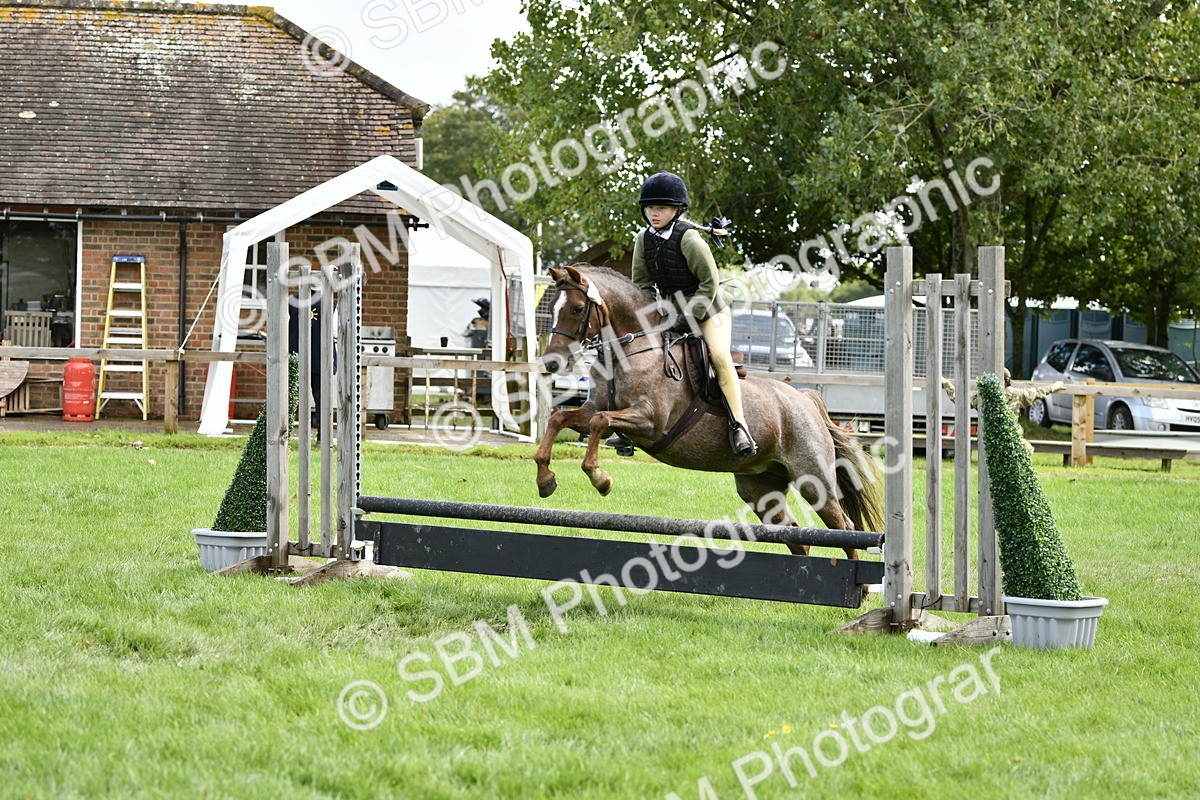 SBM_41251 - S32 - Mountain & Moorland Working Hunter Pony