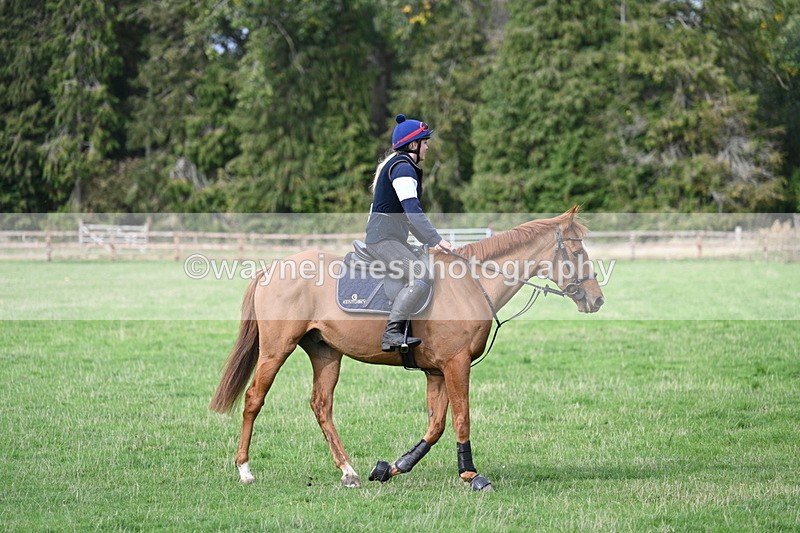 WJ7_9616 - Time 13:13 to 13:55