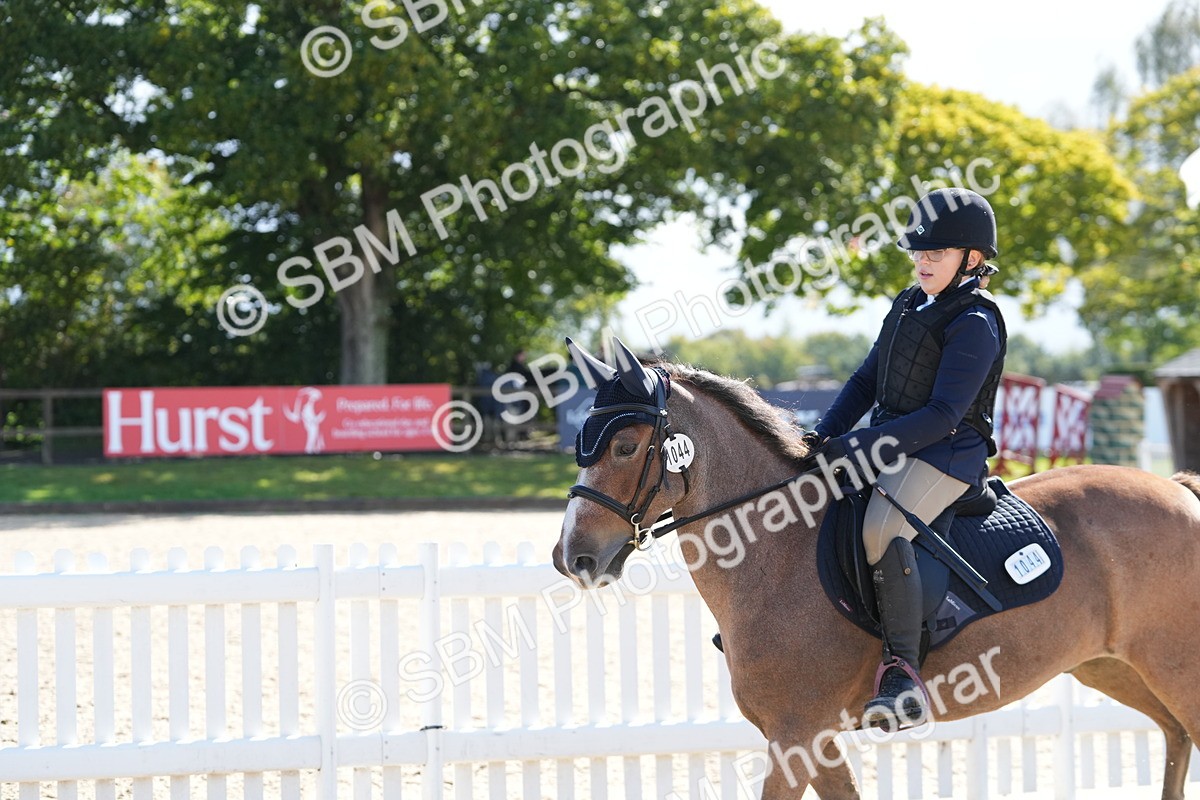 SBM_38343 - J6 - Junior Pony 55cm Championship