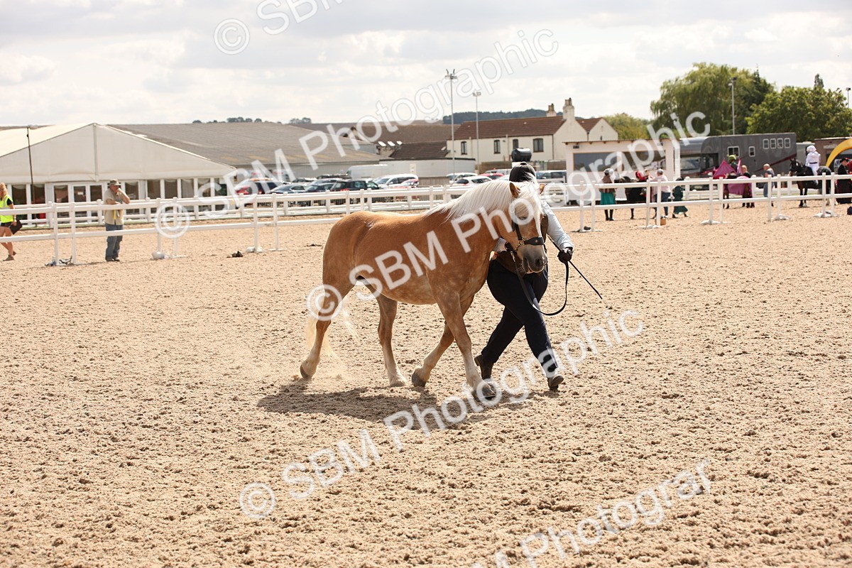 SBM_04606 - Class 20 IH Veteran