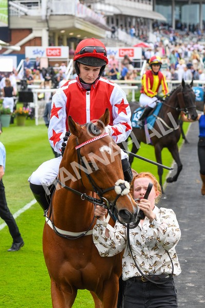 170623-Race 1-Dream Harder-0055 - Race 1 2.00pm Queen Mother's Cup Handicap